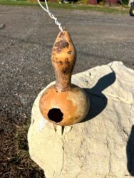 Can a Gourd become a Bird Feeder?