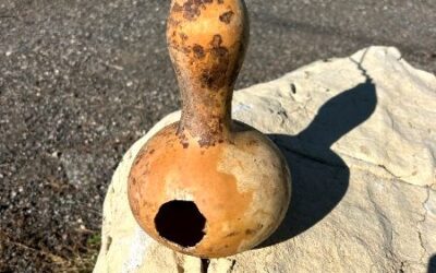 Can a Gourd become a Bird Feeder?