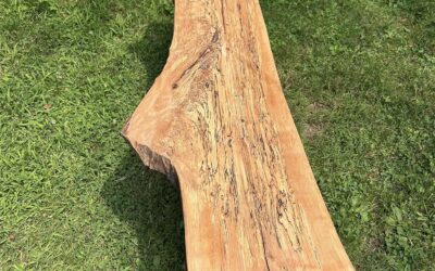 Garden Bench