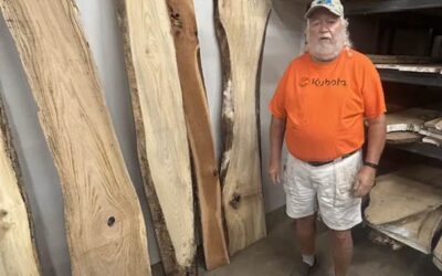 We Have Lumber!